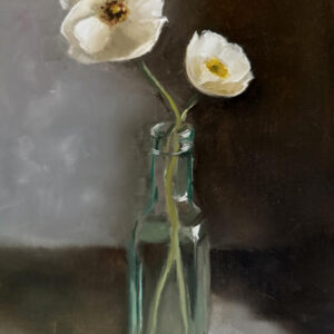 Papaver
