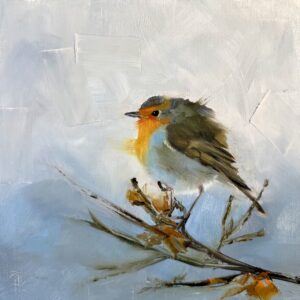 Roodborst in sneeuw